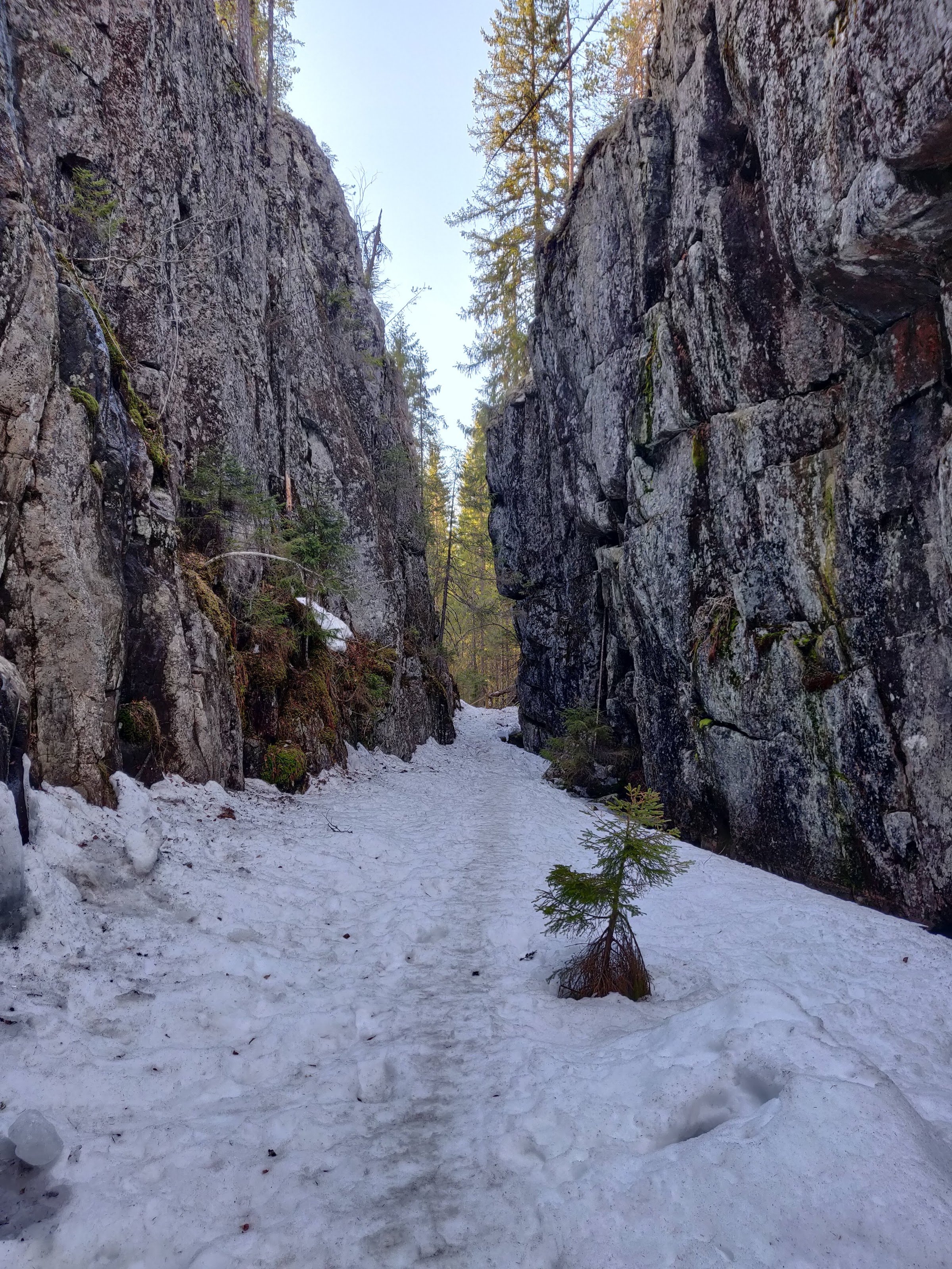 Orinoro Gorge (Orinnoro rotko)